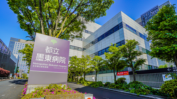 押上の親知らずの抜歯・治療